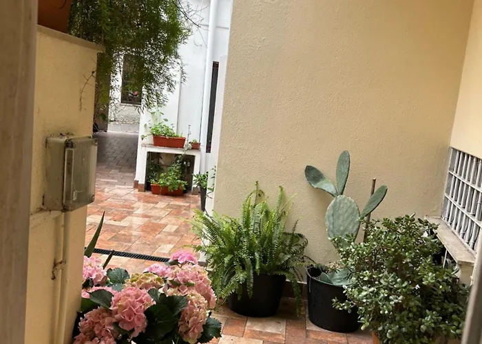 民宿 Art House 努奥罗